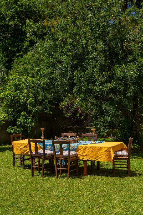 Villa Lygia ลิเกีย ภายนอก รูปภาพ